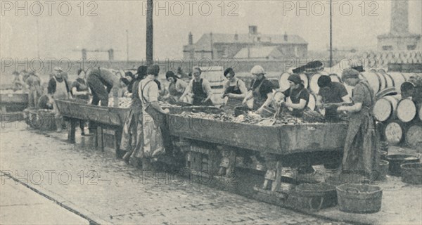'An Important Part of the Industry. Scottish girls busy gutting at Yarmouth', 1937. Artist: Unknown.