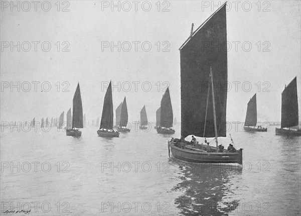 'Herring Boats Off the Tyne', c1896. Artist: M Aunty.