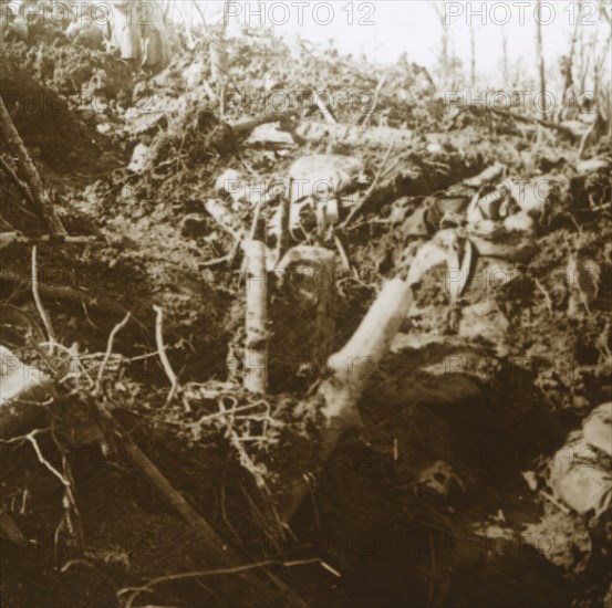 Destroyed shelter, Les Éparges, northern France, 1915.  Artist: Unknown.