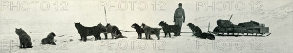 'Dogs with Stores About to Leave Hut Point', c1911, (1913). Artist: Herbert Ponting.