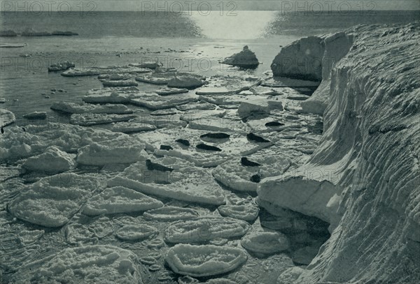 'Seals Basking on Newly Formed Pancake Ice Off Cape Evans', c1910?1913, (1913). Artist: Herbert Ponting.