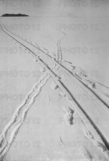 'Sledge Track Crossing An Adélie Penguin's Track', 8 December 1911, (1913). Artist: Herbert Ponting.