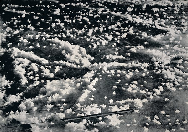 'Ice Flowers on Newly Formed Sea Ice', 1912, (1913). Artist: Frank Debenham.