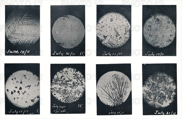 'Ice Crystals in Crevasse', June-July 1911, (1913). Artist: Charles S Wright.