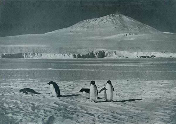 'Mount Erebus', c1911, (1913). Artist: Herbert Ponting.