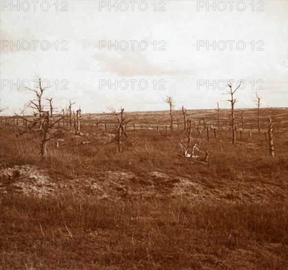 Battlefield, Tahure, northern France, c1914-c1918. Artist: Unknown.