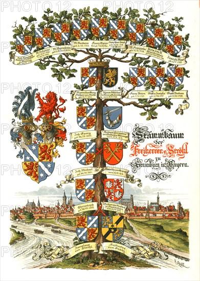 Strohl Heraldic Tree. Artist: H Strohl.