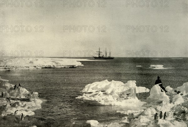 'The Nimrod Lying Off The Penguin Rookery', c1908, (1909).  Artist: Unknown.