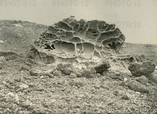 'A Weathered Kenyte Boulder Near the Winter Quarters', c1908, (1909). Artist: Unknown.