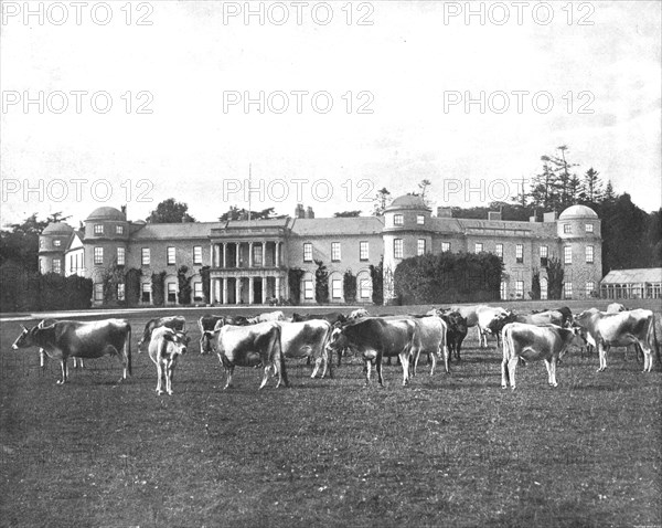 Goodwood, Hampshire, 1894. Creator: Unknown.