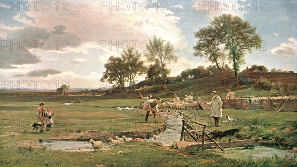 'Sheep-Washing in Sussex', c1889, (c1902). Creator: Unknown.