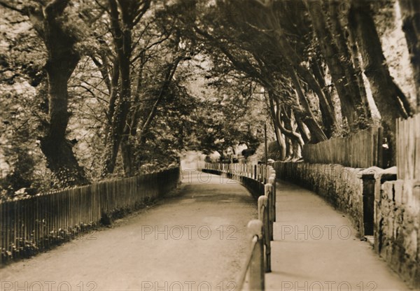 'Chine Avenue, Shanklin, I.W.', c1920. Creator: Unknown.