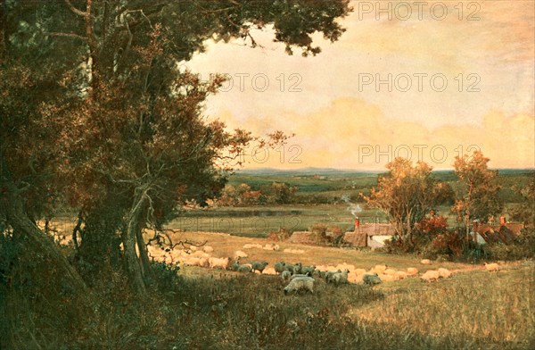 'The Golden Valley', c1893, (c1902). Creator: Unknown.