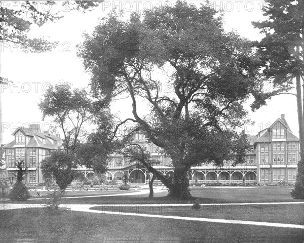 Del Monte, Monterey, California, USA, c1900. Creator: Unknown.