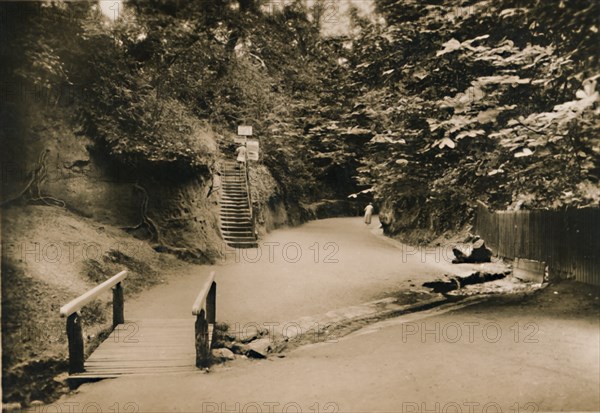 'Chine Hollow, Shanklin, I.W.', c1920. Creator: Unknown.