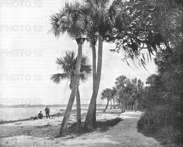 Indian River, Florida, USA, c1900. Creator: Unknown.