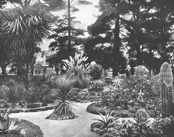 Arizona Garden, Monterey, California, USA, c1900. Creator: Unknown.