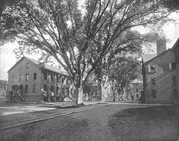 The Reading Hall and Treasury, Yale College, New Haven, Connecticut, USA, c1900. Creator: Unknown.