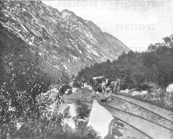 Cottonwood Canyon, Utah, USA, c1900. Creator: Unknown.