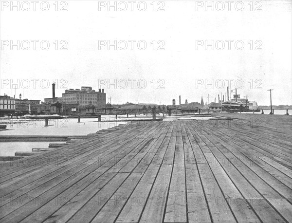 Levee and Steamboat Landing, New Orleans, Louisiana, USA, c1900. Creator: Unknown.