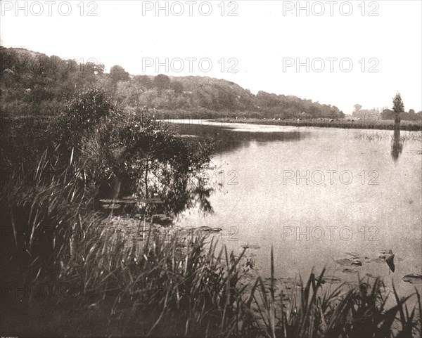 Hurley Reach, River Thames between Bisham and Medmenham, Buckinghamshire, 1894. Creator: Unknown.