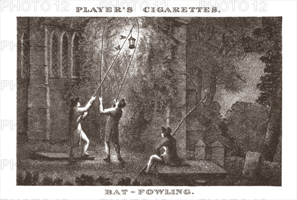 'Bat-Fowling', (1924). Creator: Unknown.
