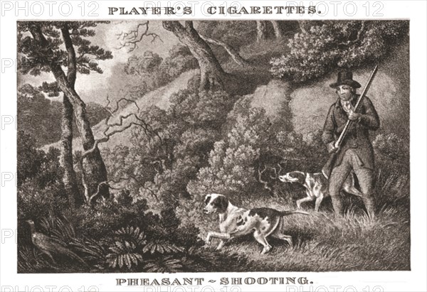 'Pheasant-Shooting', (1924). Creator: Unknown.