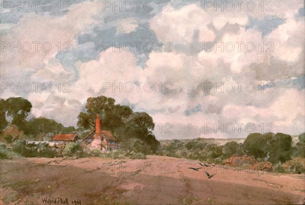 'Near the Hogsback, Surrey', 1901. Creator: Unknown.