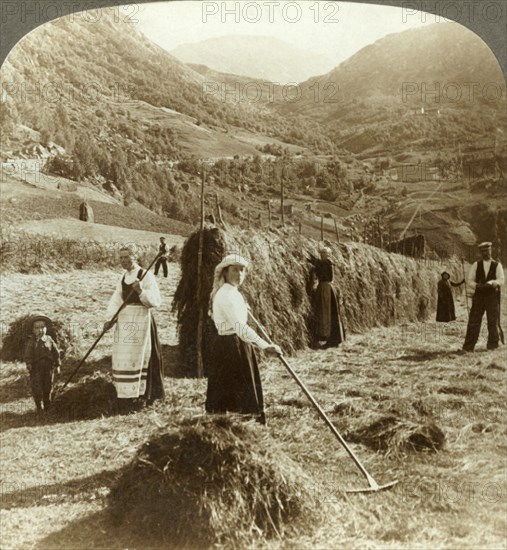 'A farmer's family making hay in a sunny field between the mountains, Roldal, Norway', c1905. Creator: Unknown.