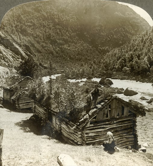 'Old log houses in Bratslandsdal, with trees growing on sod-covered roofs, Norway', c1905.  Creator: Unknown.