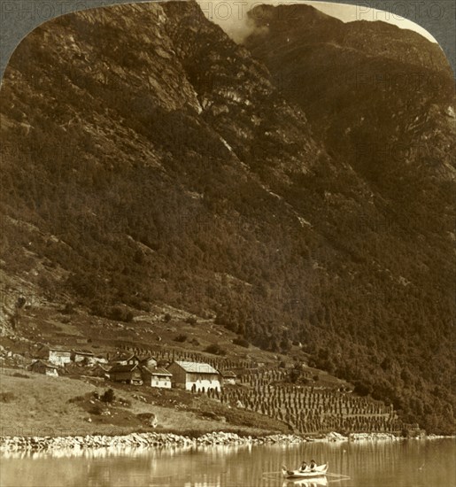 'Hogrending farm, nestling at the mountain's base, on the E. shore of Lake Loen, Norway', c1905. Creator: Unknown.