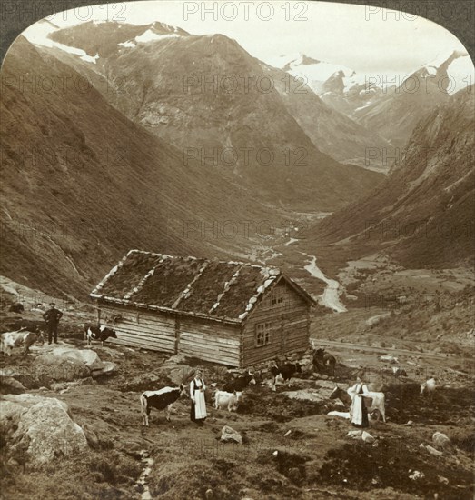 'From the mountain inn at Vidde saeter down the Vidde valley - Mt. Skaala in right distance', c1905. Creator: Unknown.