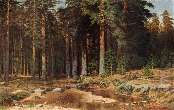 'A Pine Grove', 1898, (1939). Creator: Ivan Shishkin.