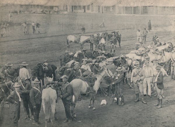 'Plumer's Horse', c1900. Creator: Unknown.