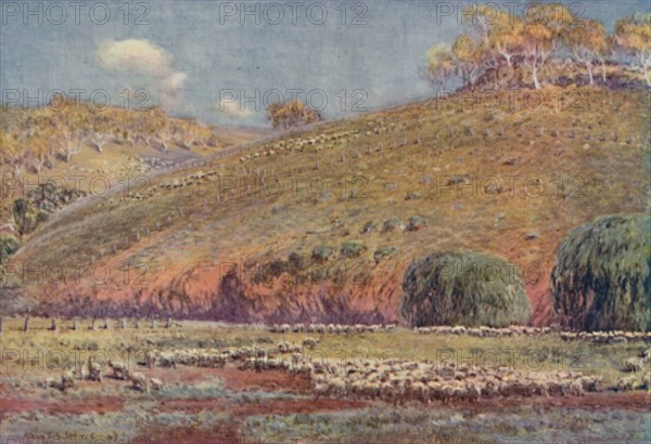 'A Sheep-Run', 1923. Creator: Unknown.