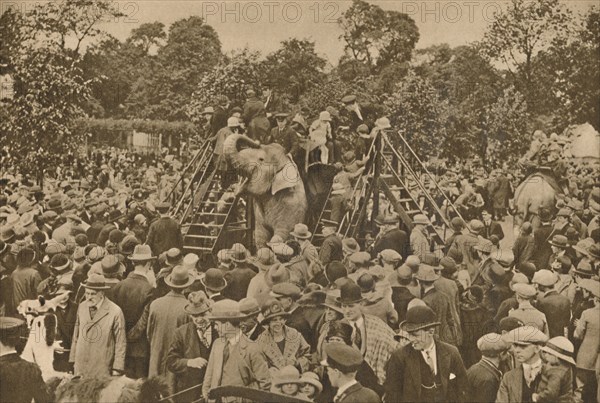 'One of the Signs of Our Civilization: Well-Stocked Zoological Gardens to Delight the Curious', c193 Creator: Unknown.