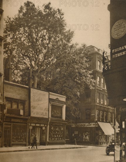 'A Favoured Inmate of the City: The Plane-Tree in Cheapside', c1935. Creator: SO Gorse.