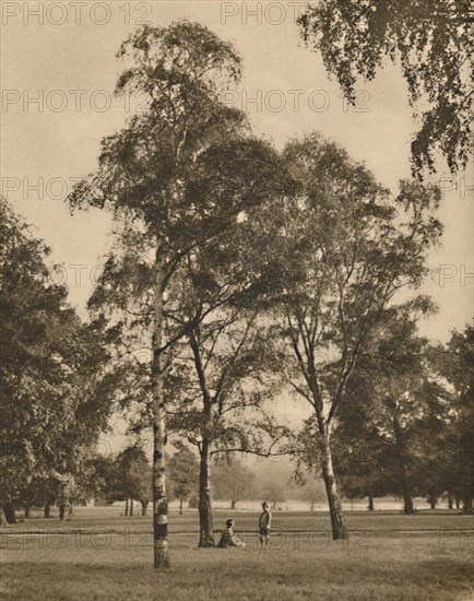 'The Lace-Work of the Leaves: A Summer Morning in Hyde Park', c1935. Creator: Donald McLeish.