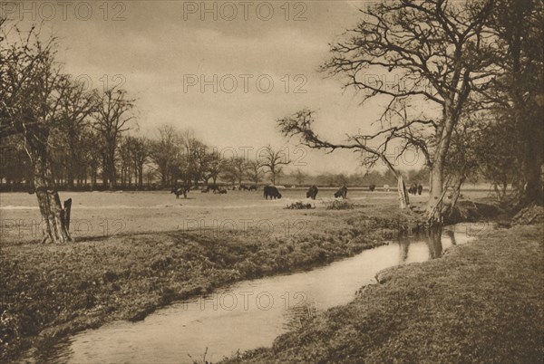 'Where Beverley Brook Winds Through The Royal Hunting Park of Richmond', c1935. Creator: Joel.