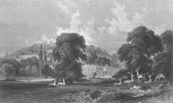 'Wonersh Park', c1845. Creator: E Radclyffe.