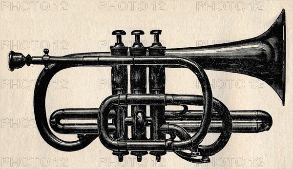 'The Cornet', 1910. Creator: Unknown.