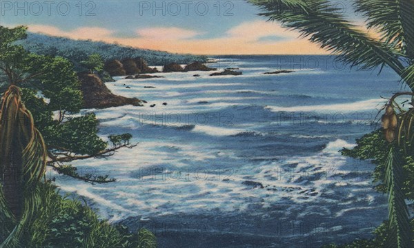 'North Coast, Trinidad, B.W.I.', c1940s. Creator: Unknown.