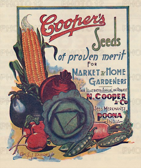 Advertisement for Cooper's seeds, 1936. Creator: Cecil Dawes.