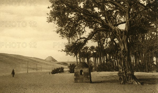 'Saqqara - The Step Pyramid seen from the Sycomore', c1918-c1939. Creator: Unknown.