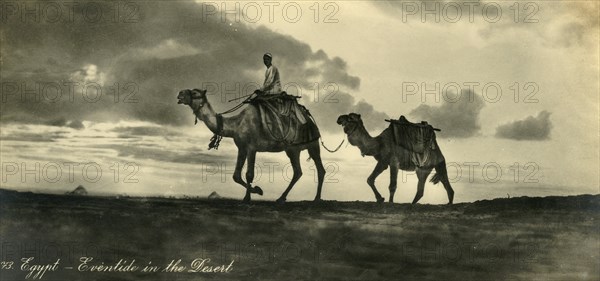 'Egypt - Eventide in the Desert', c1918-c1939. Creator: Unknown.