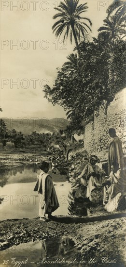 'Egypt - Noontiderest in the Oasis', c1918-c1939. Creator: Unknown.