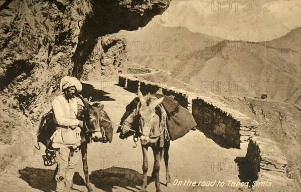'On the road to Theog, Simla', c1918-c1939. Creator: Unknown.