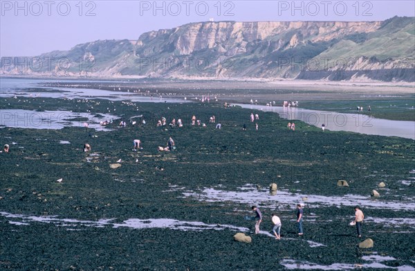 Beachcombers at Port-en-Bessin, Normandy, France.