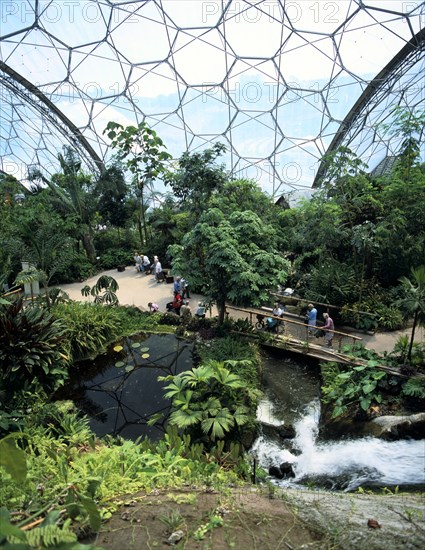 Inside the Humid Tropics Biome, Eden Project, Cornwall