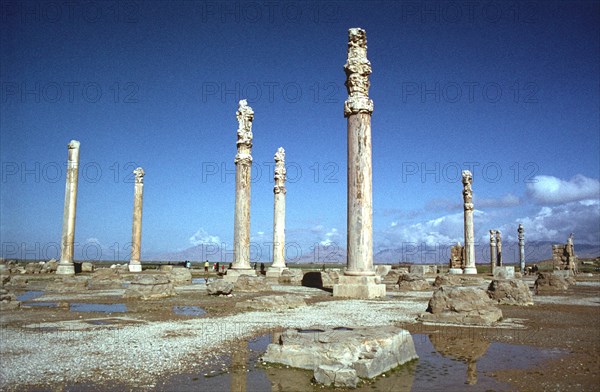 Ruins of the Apadana, Persepolis, Iran